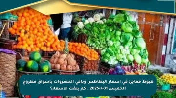 هبوط مفاجئ في أسعار البطاطس وباقي الخضروات بأسواق مطروح الخميس 31-7-2025.. كم بلغت الأسعار؟